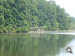 Click to see Y-PANASONIC-TS5-TELE.JPG