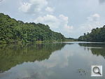 Click to see Y-PANASONIC-TS5-WIDE.JPG
