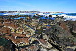 Click to see YP1010280.JPG