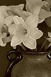 Click to see YP1010561-CrtvCtrl-Sepia.JPG