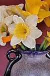 Click to see YP1010567-CrtvCtrl-HighDynamic.JPG