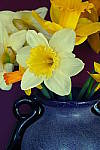 Click to see YP1010568-CrtvCtrl-XProcess.JPG