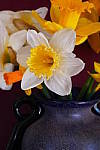 Click to see YP1010572-CrtvCtrl-Miniature.JPG