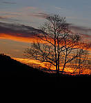 Click to see YZS-0643-EDIT.JPG