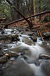 Click to see Y_1000940-MOD.JPG