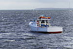 Click to see Y_1010060.JPG