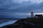 Click to see Y_1010125.JPG