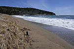 Click to see Y_1010130.JPG