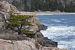 Click to see Y_1010134.JPG