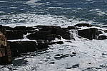Click to see Y_1010141.JPG