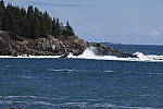 Click to see Y_1010143.JPG