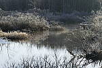 Click to see Y_1010164.JPG