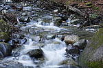 Click to see Y_1010166.JPG