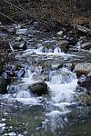 Click to see Y_1010167.JPG