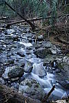 Click to see Y_1010168.JPG