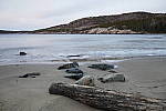 Click to see Y_1010221.JPG