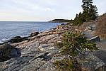 Click to see Y_1010261.JPG