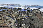 Click to see Y_1010282.JPG