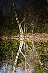 Click to see Y_1010315.JPG