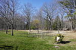 Click to see Y_1010522-25mm-f2.8.JPG