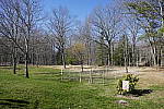 Click to see Y_1010525-25mm-f4.0.JPG