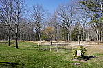 Click to see Y_1010526-25mm-f5.6.JPG