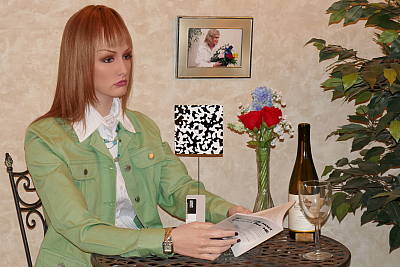 Click to see ZS100INBFP2.JPG
