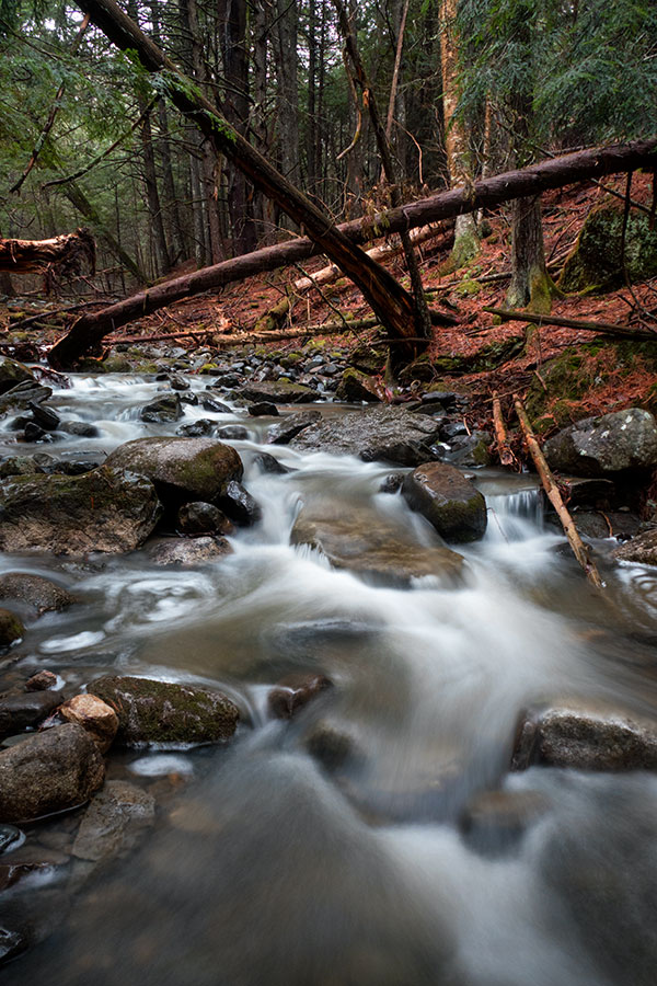 Panasonic ZS100 Review: Field Test -- Gallery Image