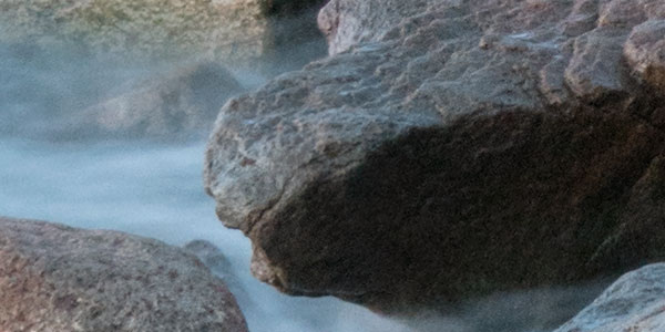 Panasonic ZS100 Review: Field Test -- Gallery Image