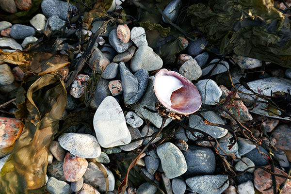 Panasonic ZS100 Review: Field Test -- Gallery Image