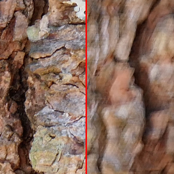 Panasonic ZS100 Review: Field Test -- Gallery Image