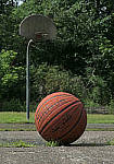 Click to see YC-0118-EDT.JPG