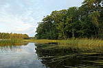 Click to see YP1015446.JPG