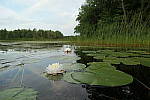 Click to see YP1015454.JPG