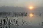 Click to see YP1015641.JPG