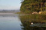 Click to see YP1015650.JPG