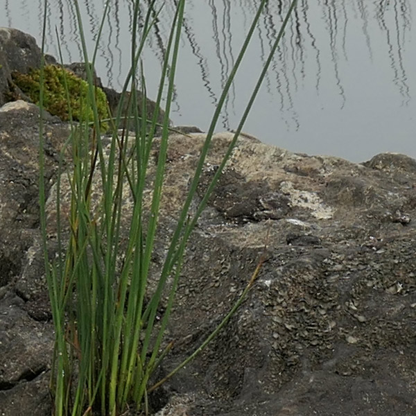 Panasonic ZS200 Review: Field Test -- Gallery Image