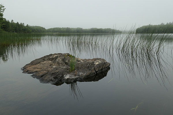 Panasonic ZS200 Review: Field Test -- Gallery Image