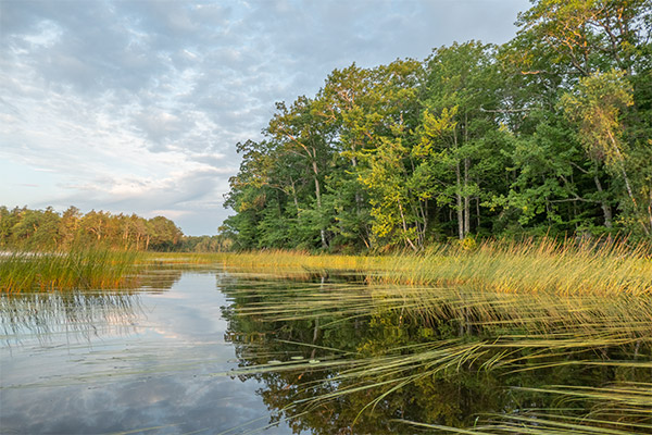 Panasonic ZS200 Review: Field Test -- Gallery Image