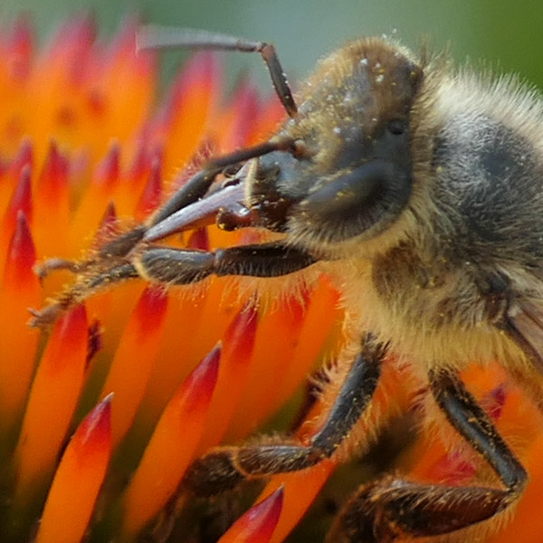 Panasonic ZS200 Review: Field Test -- Gallery Image