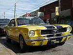 Click to see YP1000325.JPG