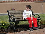 Click to see YP1000349.JPG