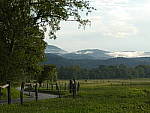 Click to see YP1000583.JPG