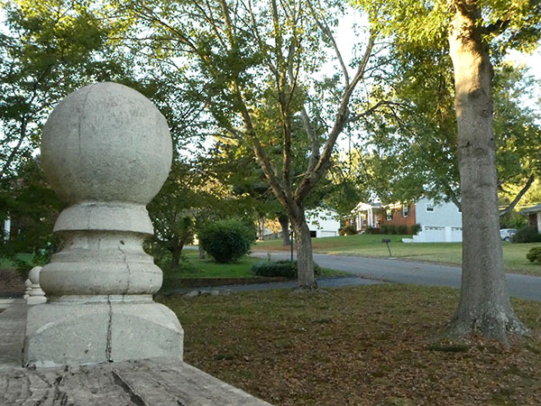 Panasonic ZS70 review -- Sample photo