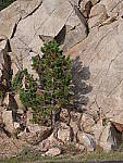 Click to see YIMGP2465.JPG