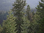 Click to see YIMGP2473.JPG