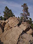 Click to see YIMGP2487.JPG