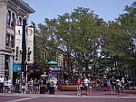 Click to see YIMGP2547.JPG