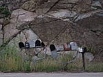 Click to see YIMGP2615.JPG