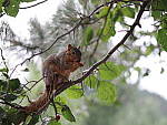 Click to see YIMGP2685.JPG